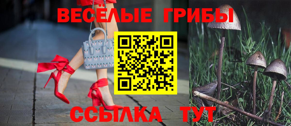 Галлюциногенные грибы Psilocybine cubensis  Галлюциногенные грибы Magic Shrooms  Вход с VPN  Менделеевск 